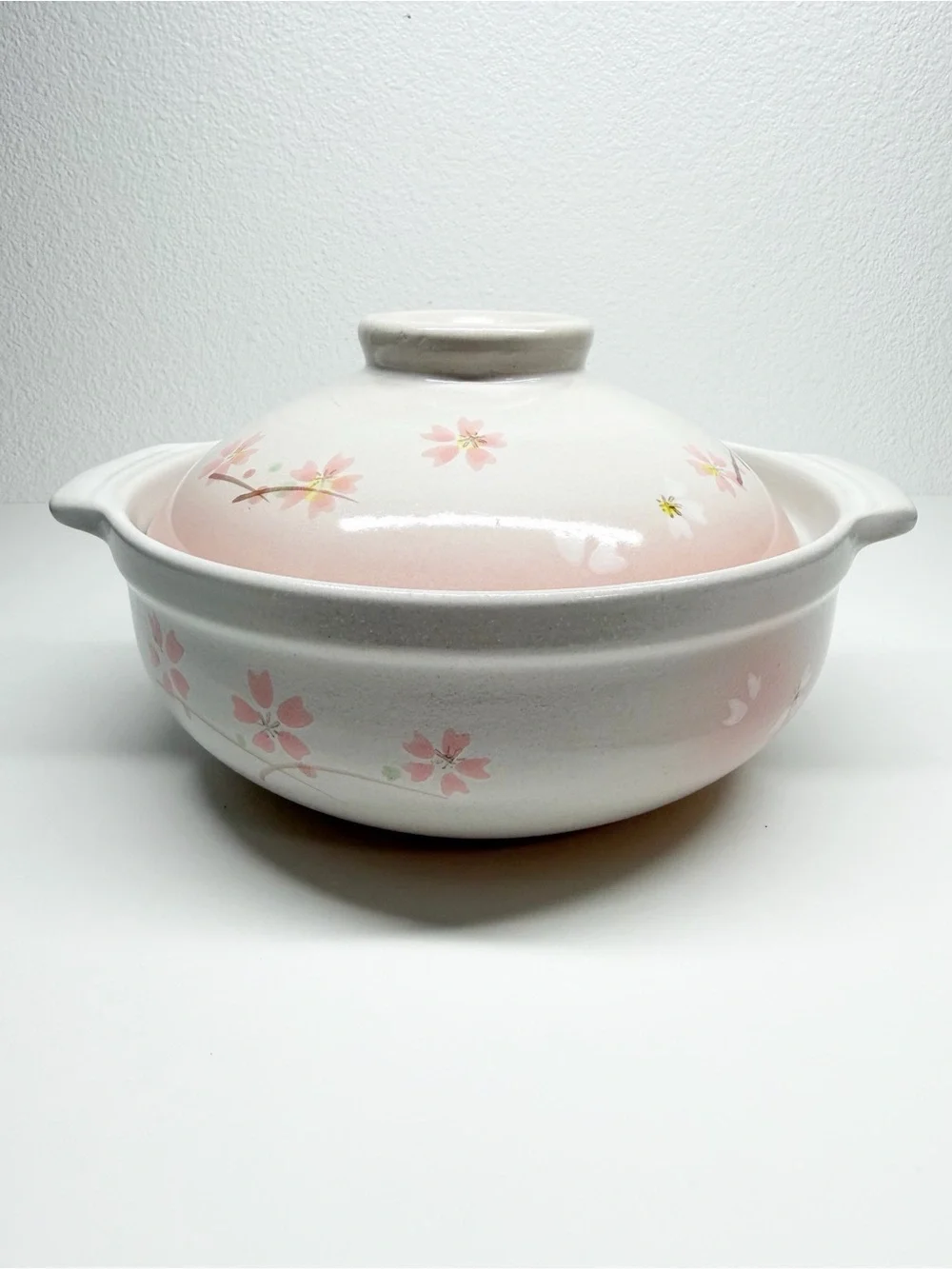 Donabe Earthernware Sakura Clay Floral Hot Pot Rice Cooker